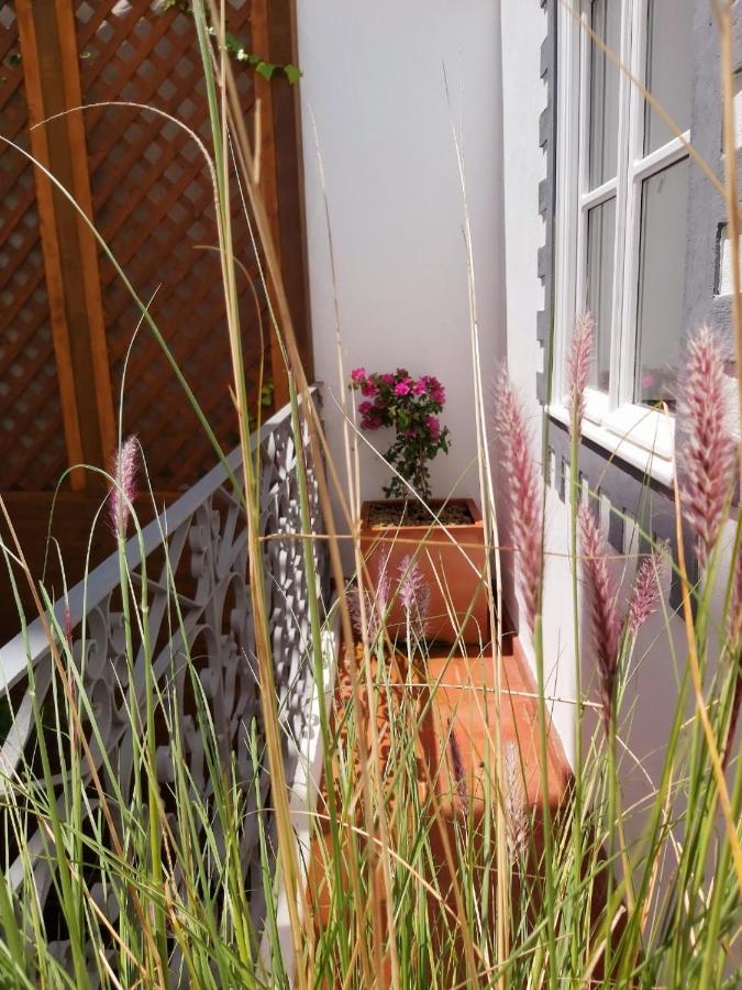 Casa Lara By Hnm Tavira